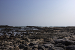 海岸线