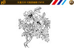 牡丹花
