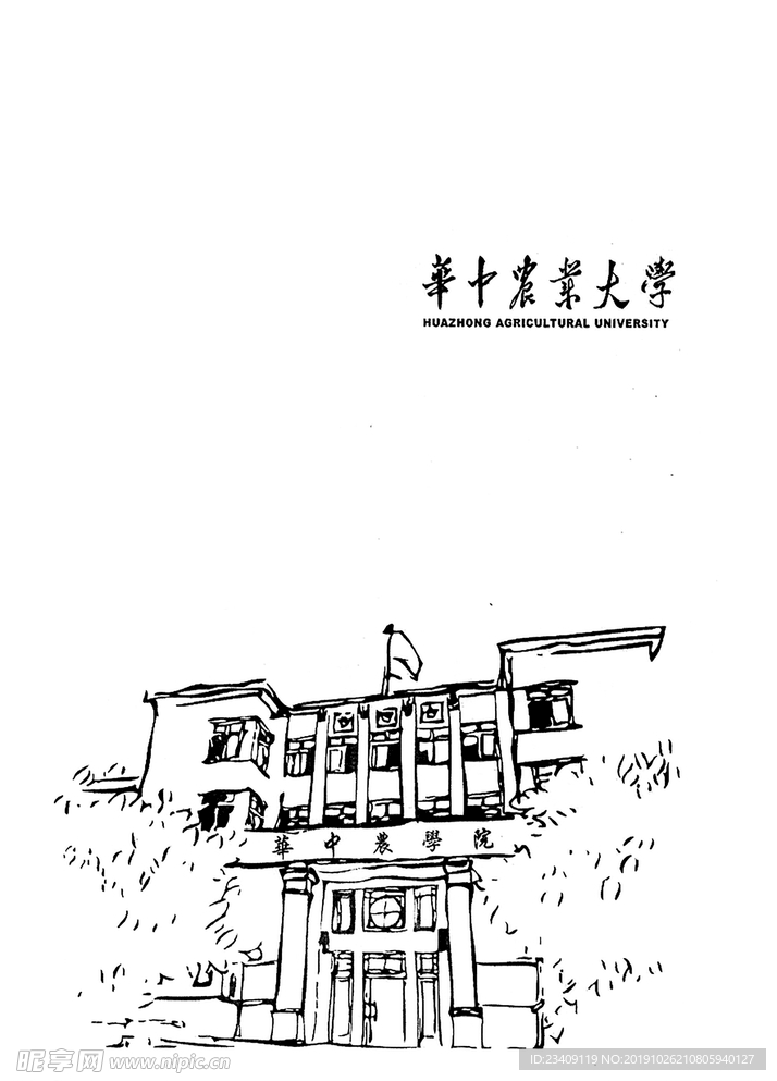 华中农业大学主楼线稿