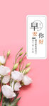 小清新早安