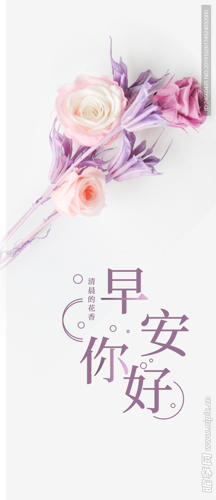 小清新早安
