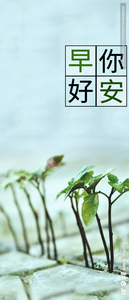 小清新早安