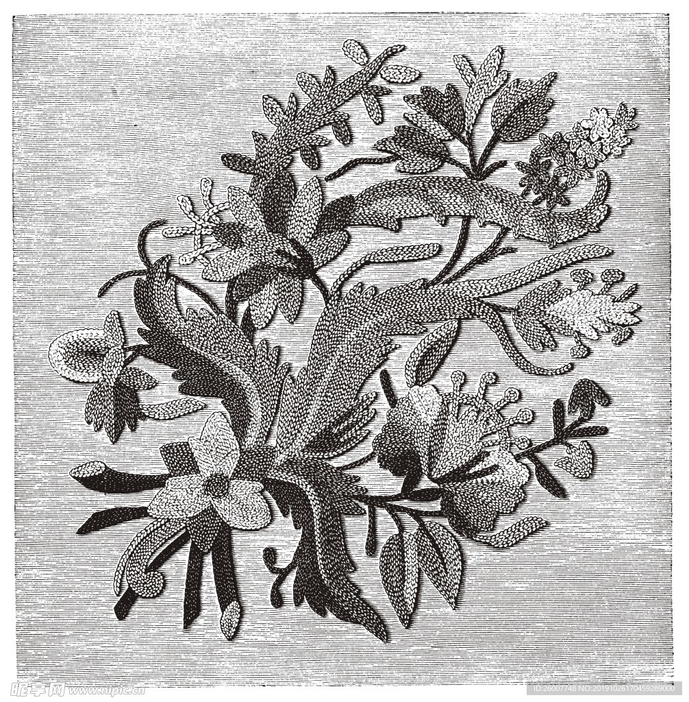 花纹