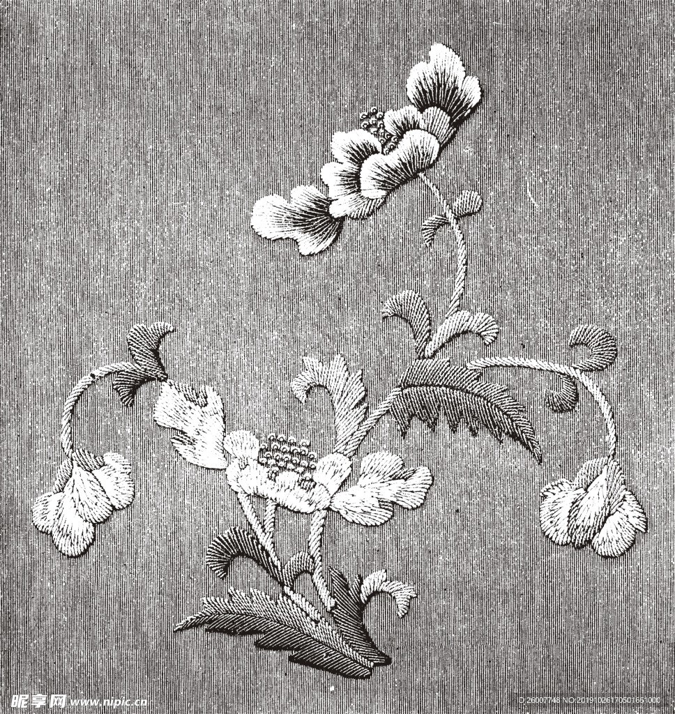 花纹