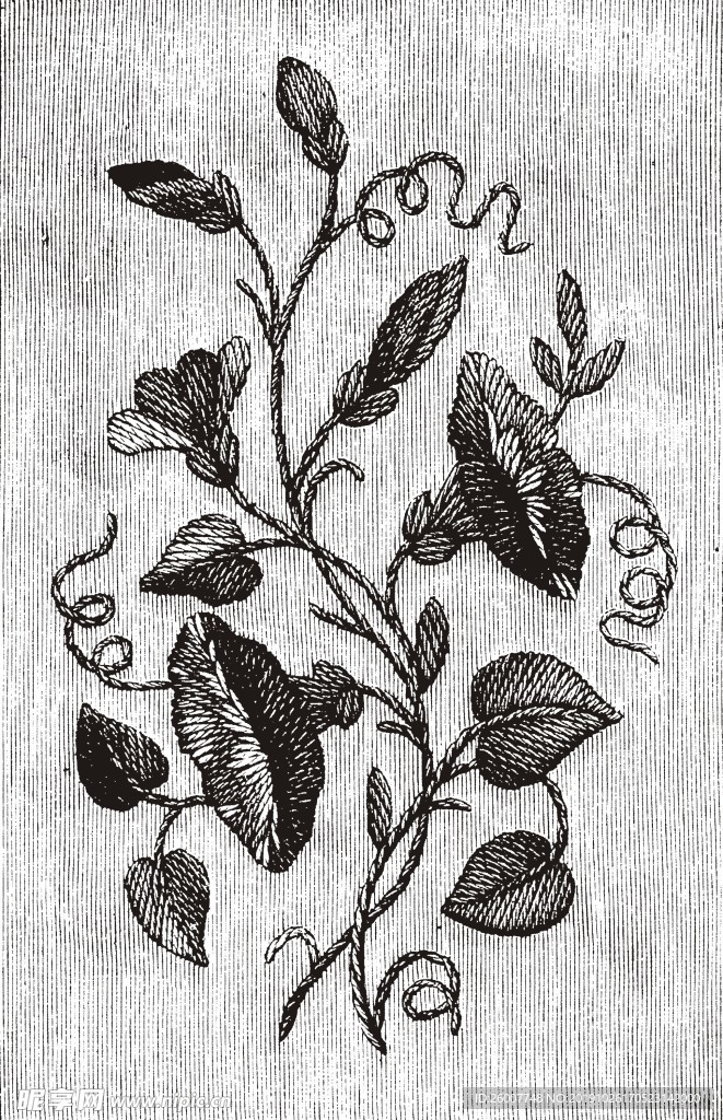花纹