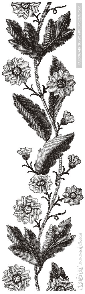 花纹