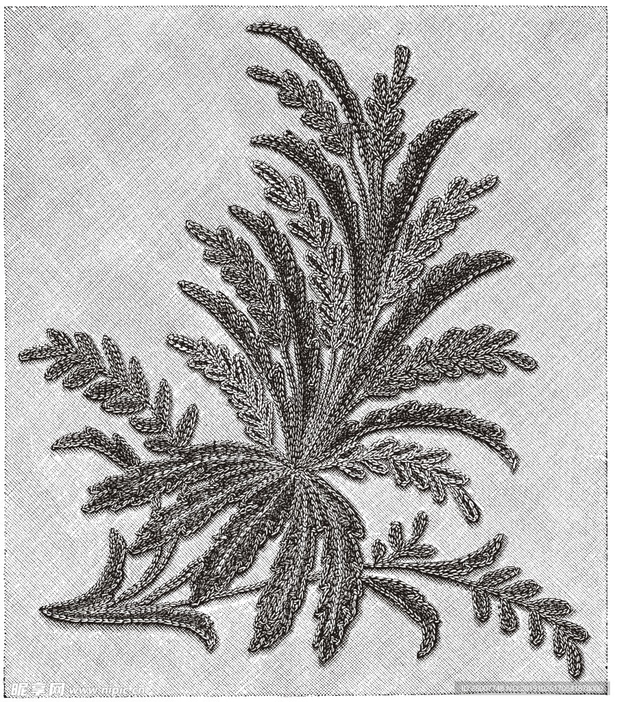 花纹