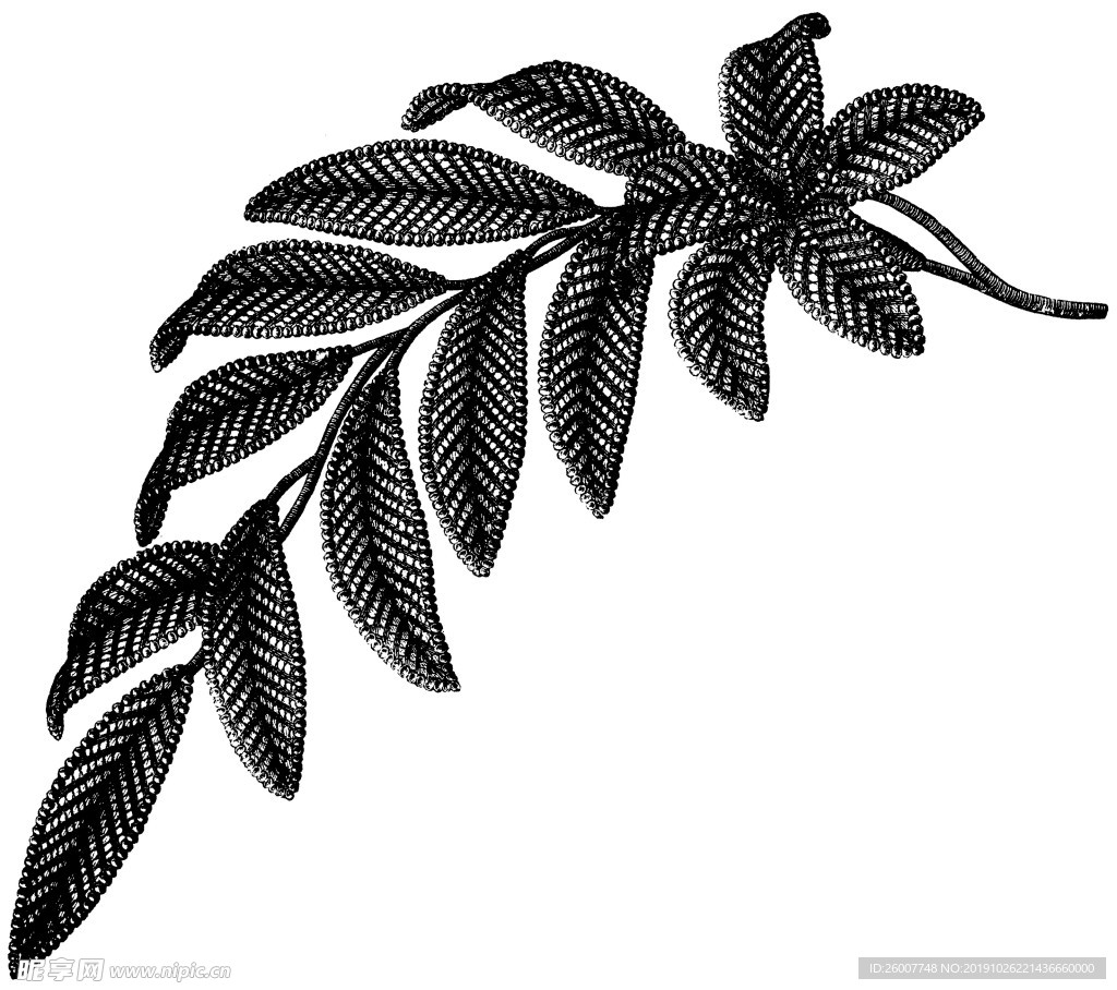 花纹