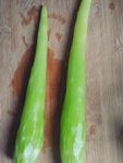 莴笋 莴苣 蔬菜 绿色食品
