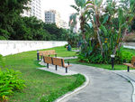 香港九龙公园