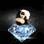 钻石熊猫