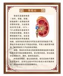 中医海报 肾结石