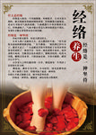 养生海报