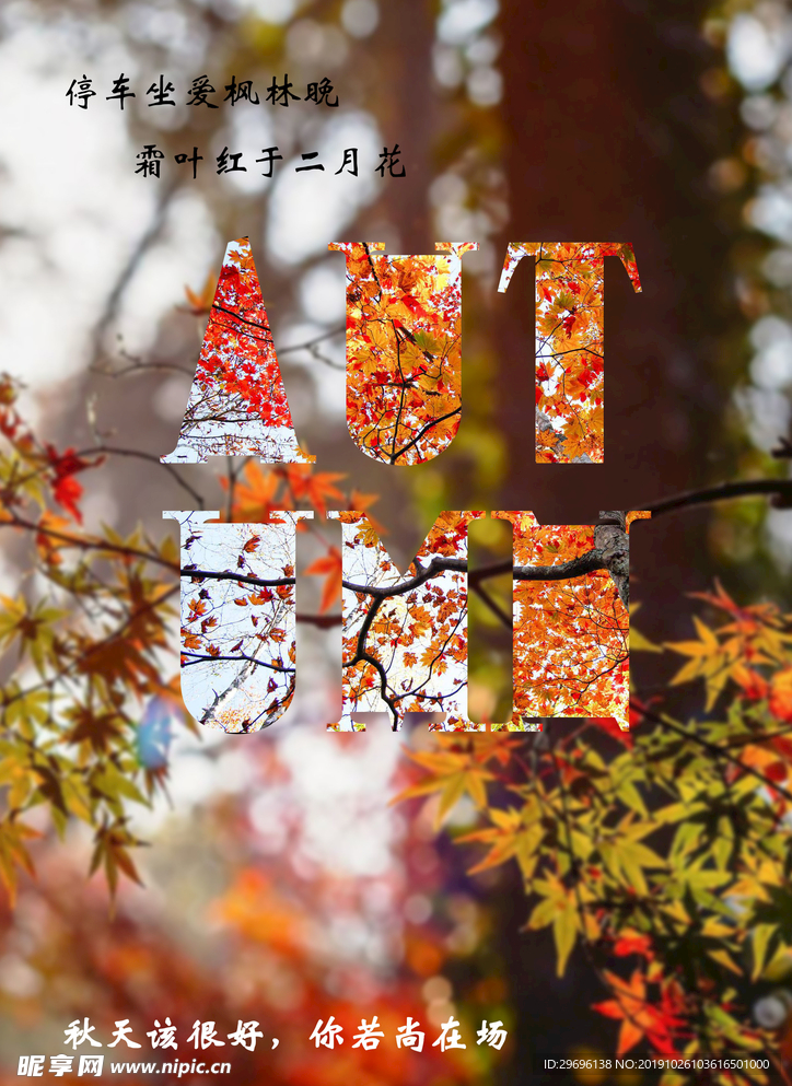 秋