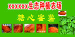 糖心蜜薯