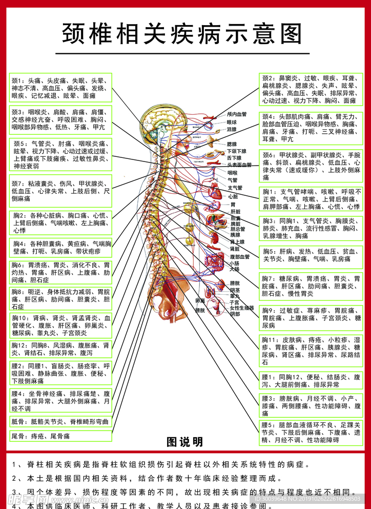 脊椎相关疾病示意图