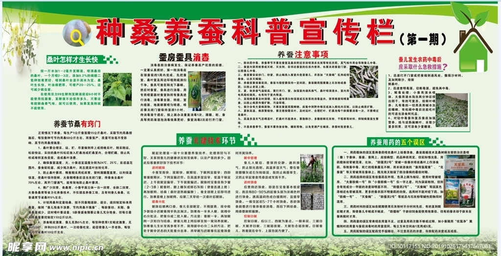 种桑养蚕知识