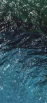 水