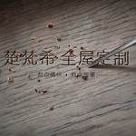 楚梵希全屋定制