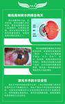 眼睛知识