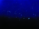 星辰
