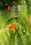 绿色背景