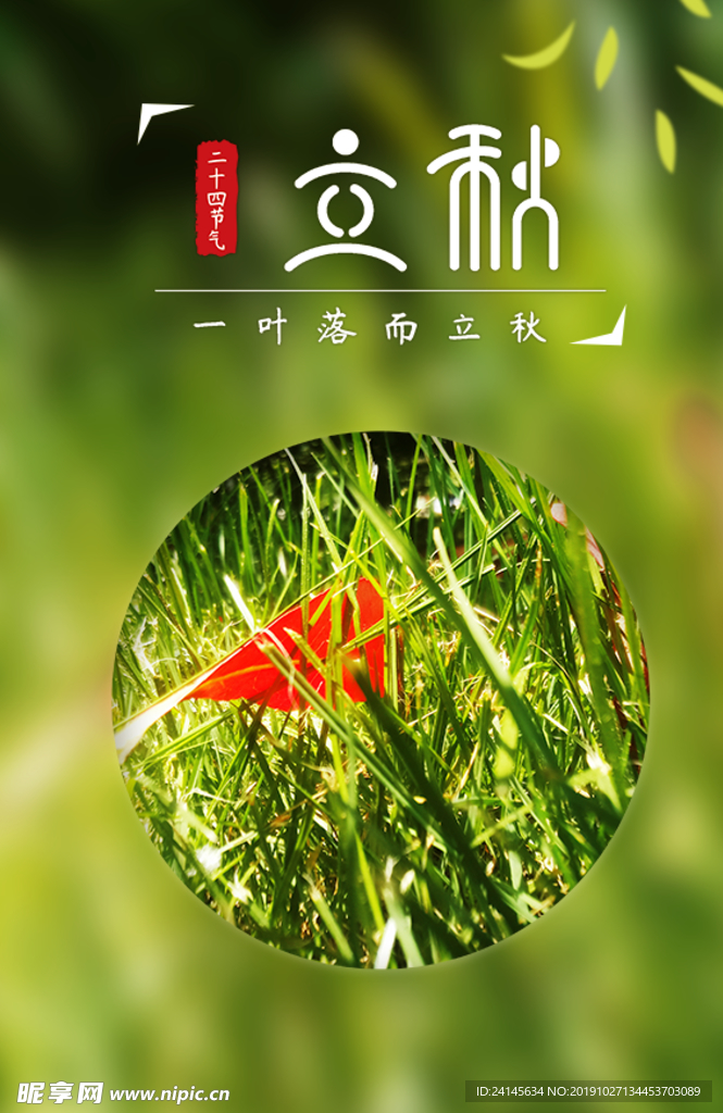 绿色背景
