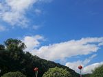 爱蓝天