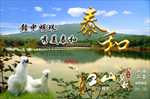 泰和乌鸡之乡海报立体黄金字