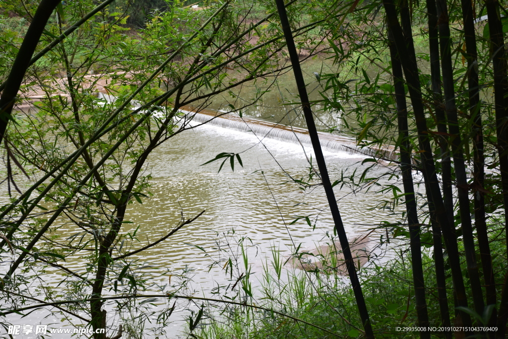 竹林流水