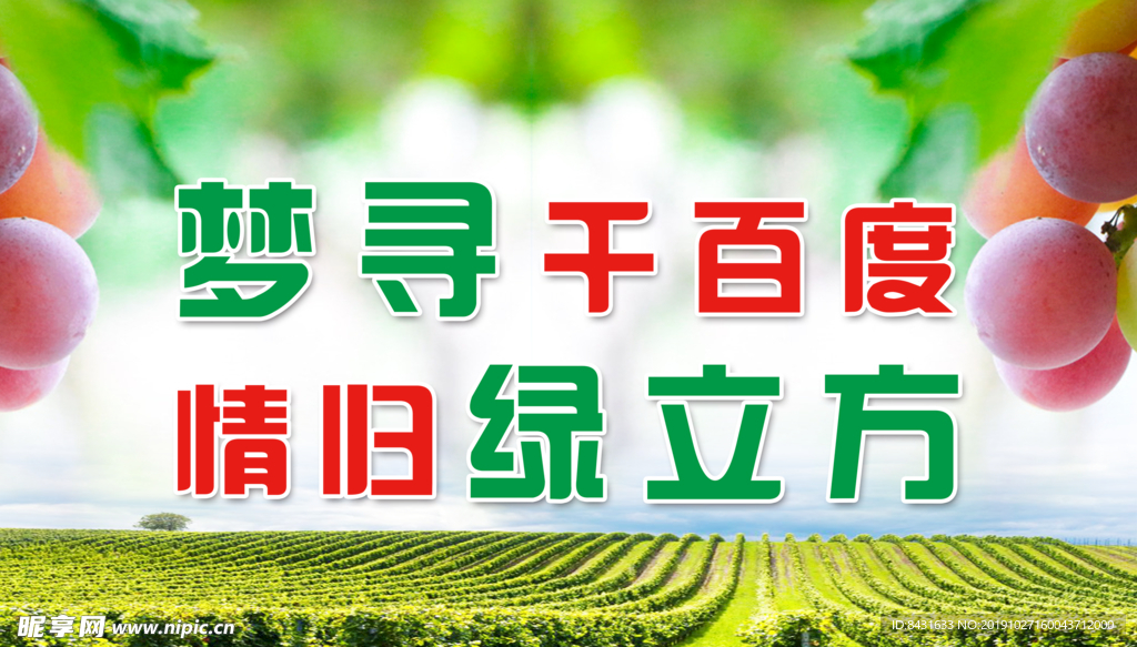 葡萄海报 大海报