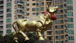 金牛