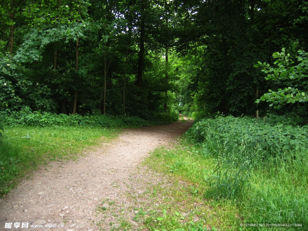 山林小路