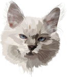 卡通小猫