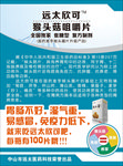 远大欣可