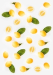柠檬