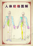 人体经络