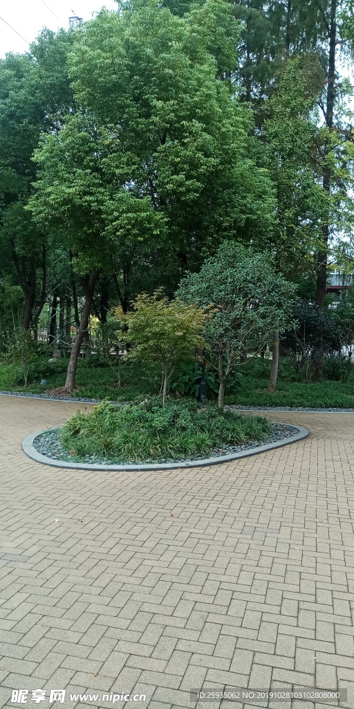 公园绿树 步行路