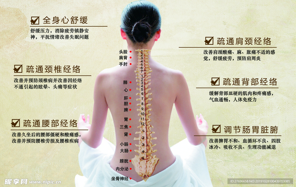 经络养生