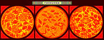 中国传统吉祥花纹