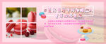 马卡龙banner