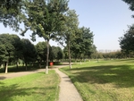 风景