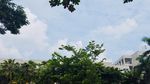 蓝天白云