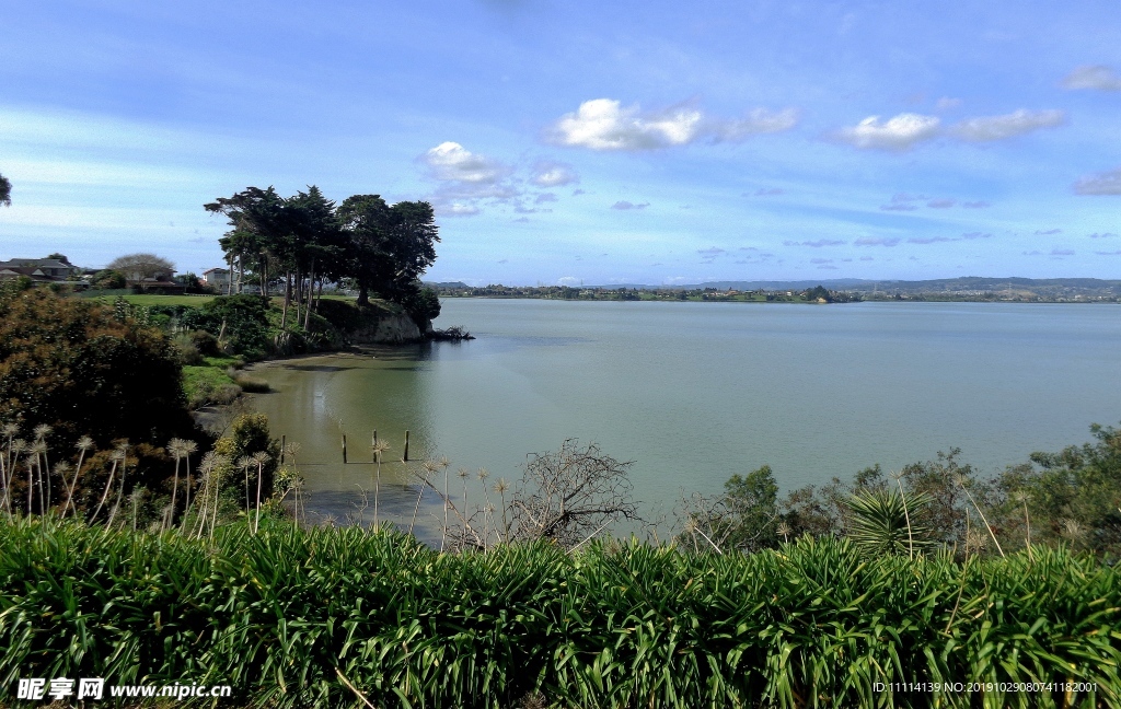 新西兰海滨自然风景