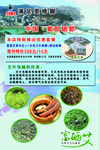 艾草泡脚