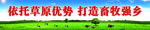 依托草原优势 打造畜牧强乡