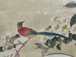 鸟