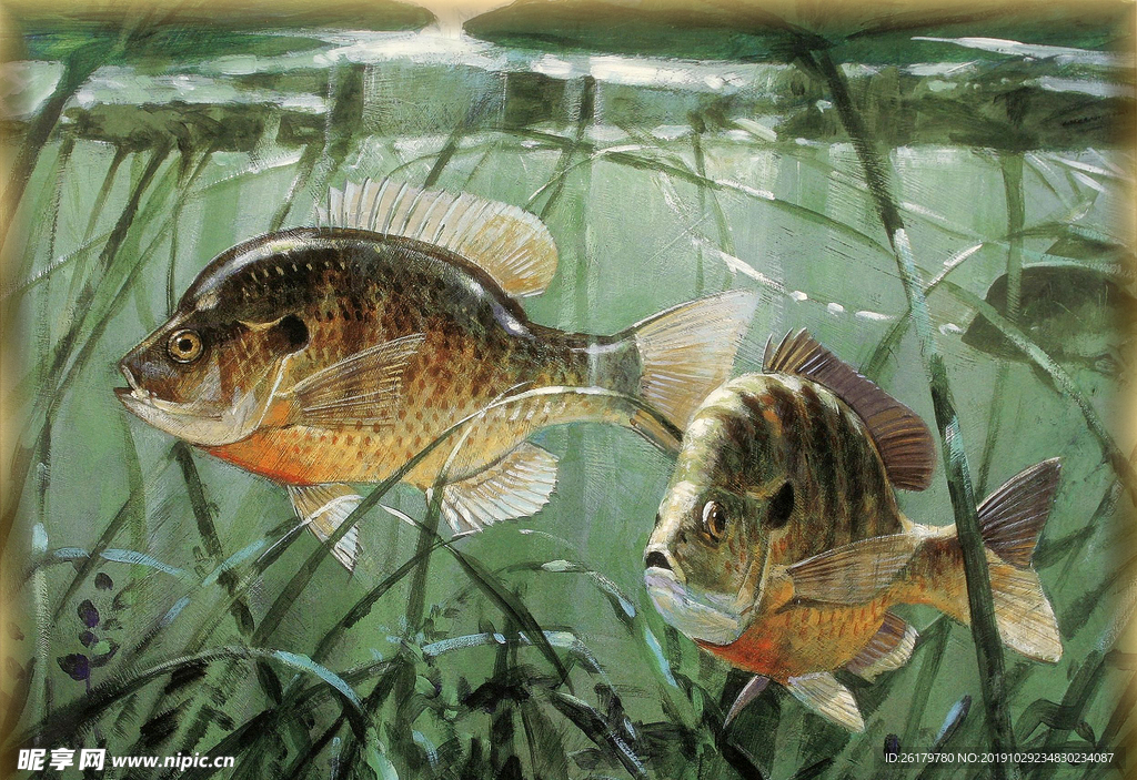 动物油画
