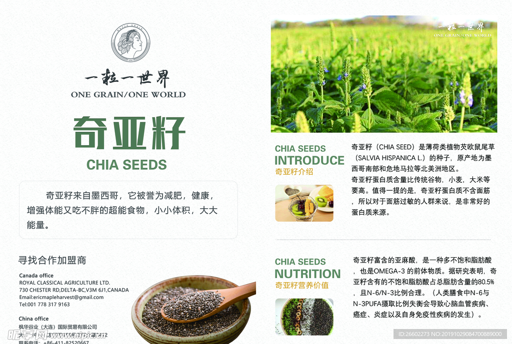 进口奇亚籽B5宣传单