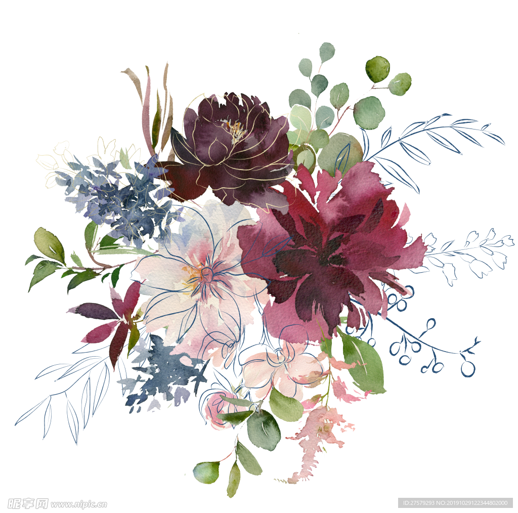 水彩花朵 花朵插图 手绘花卉
